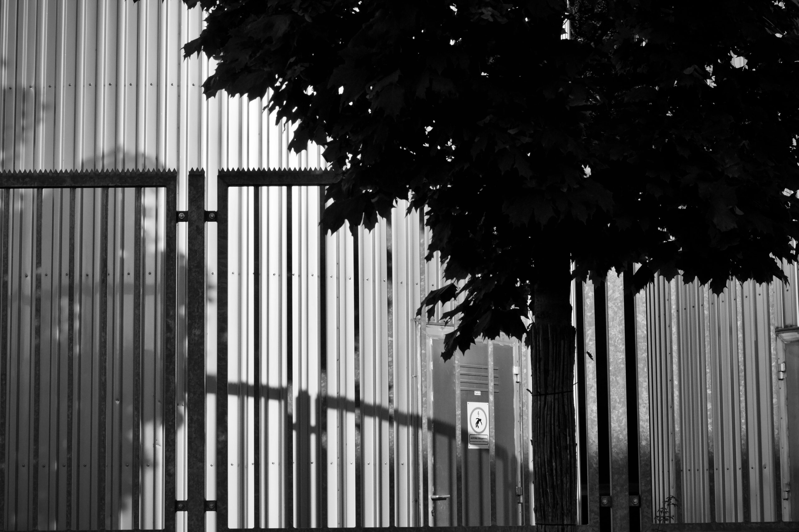 Ombre arbre noir blanc cloture metal