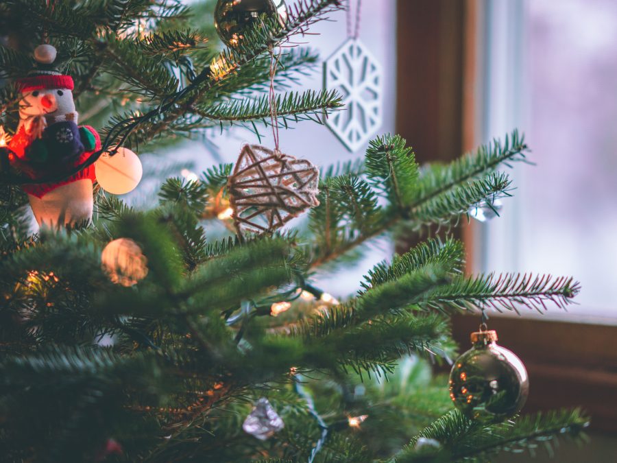 Comment choisir et habiller un arbre décoré chez toi ?
