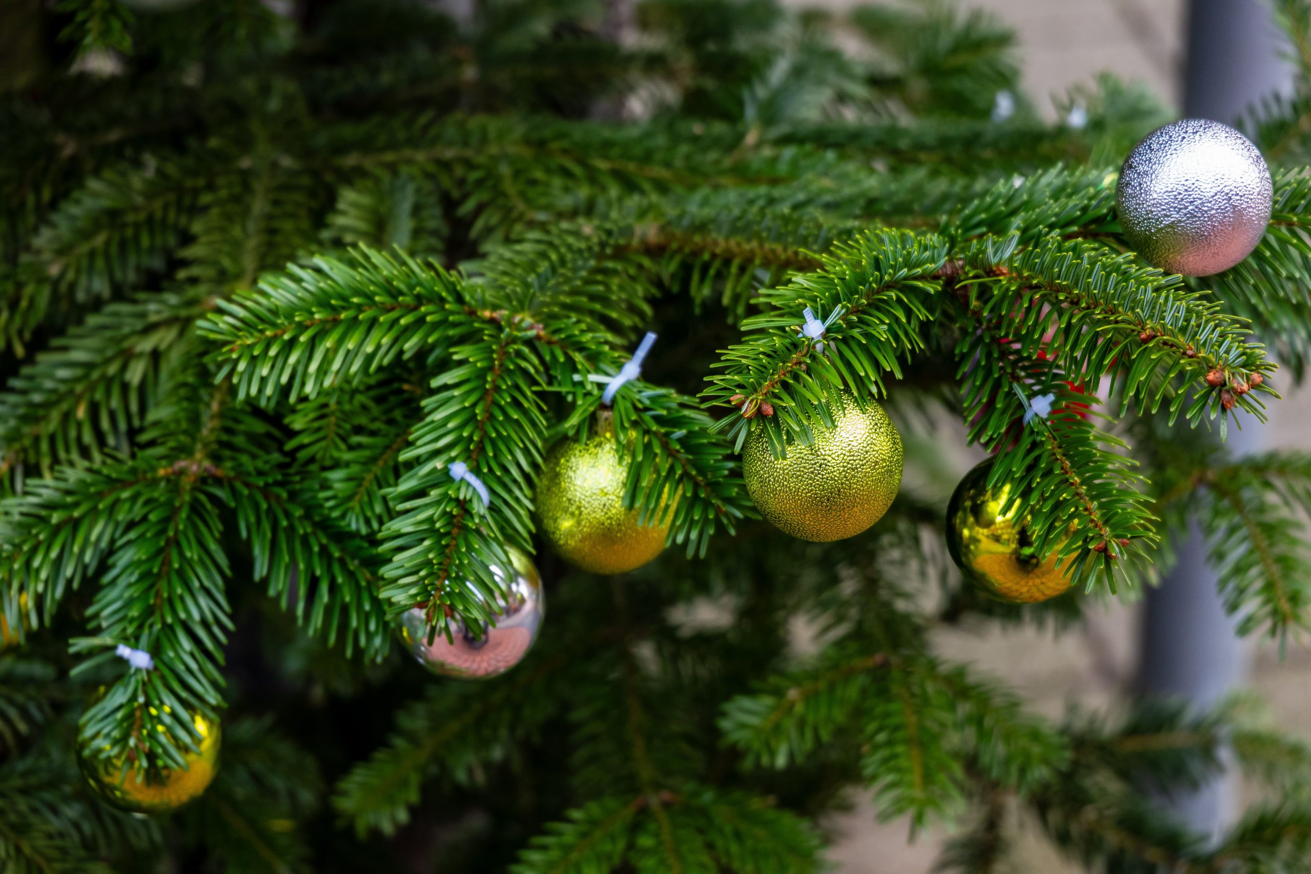Branche de sapin ornements or argent