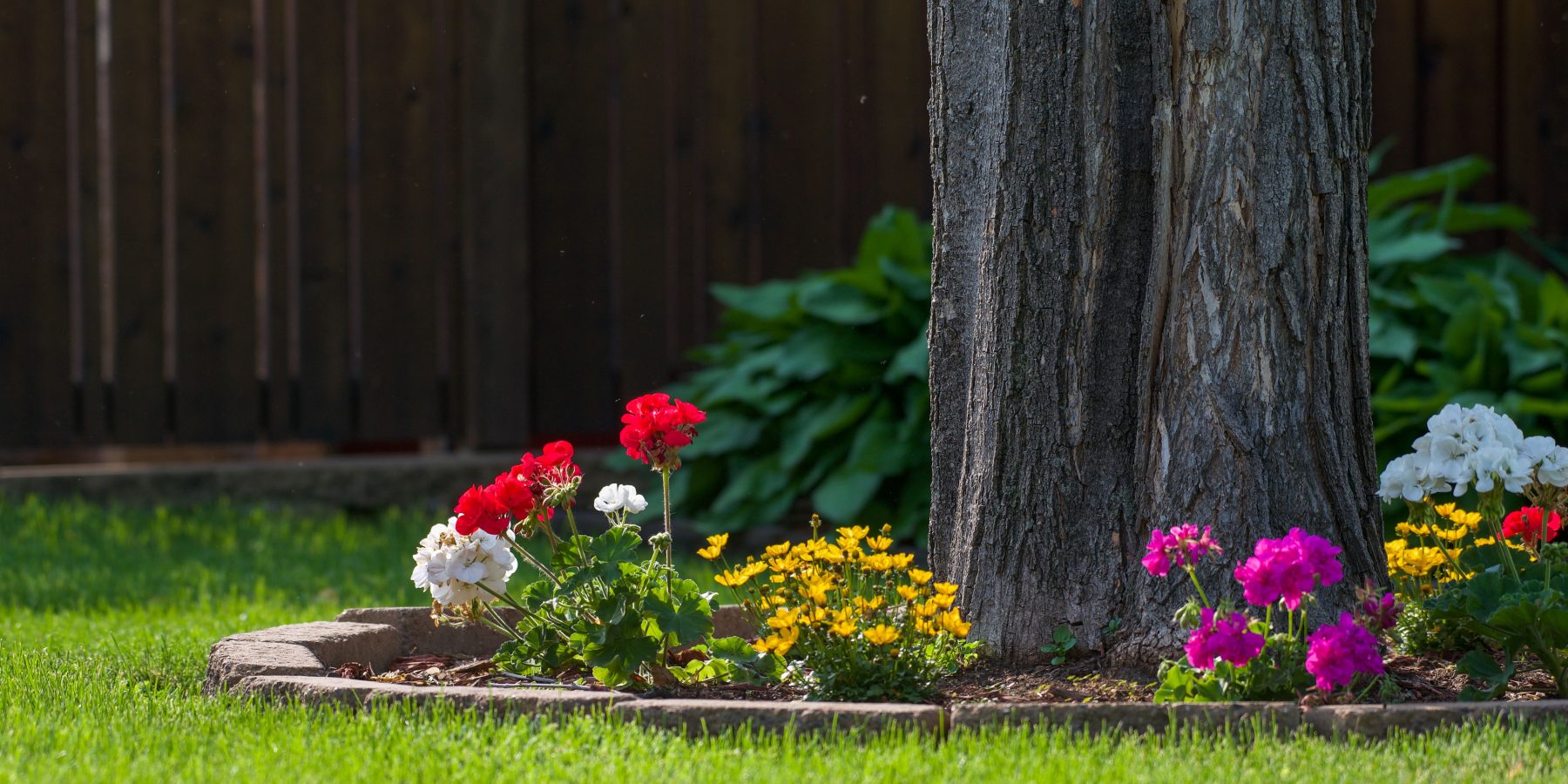 Comment décorer le pied d&rsquo;un arbre sans abîmer ses racines ?