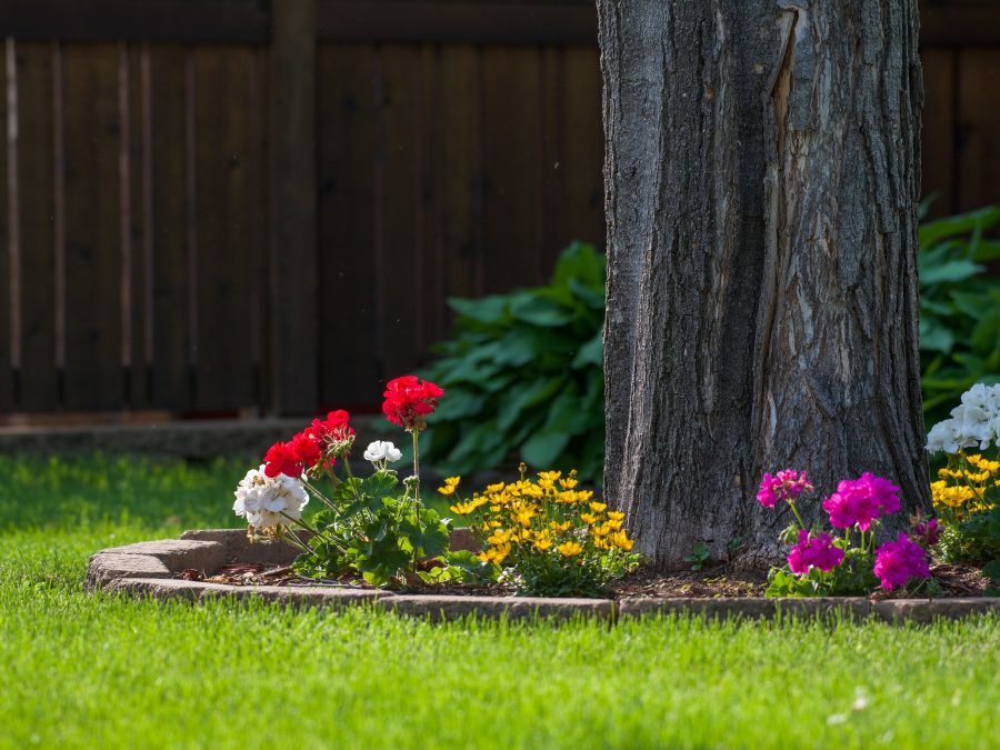 Comment décorer le pied d&rsquo;un arbre sans abîmer ses racines ?