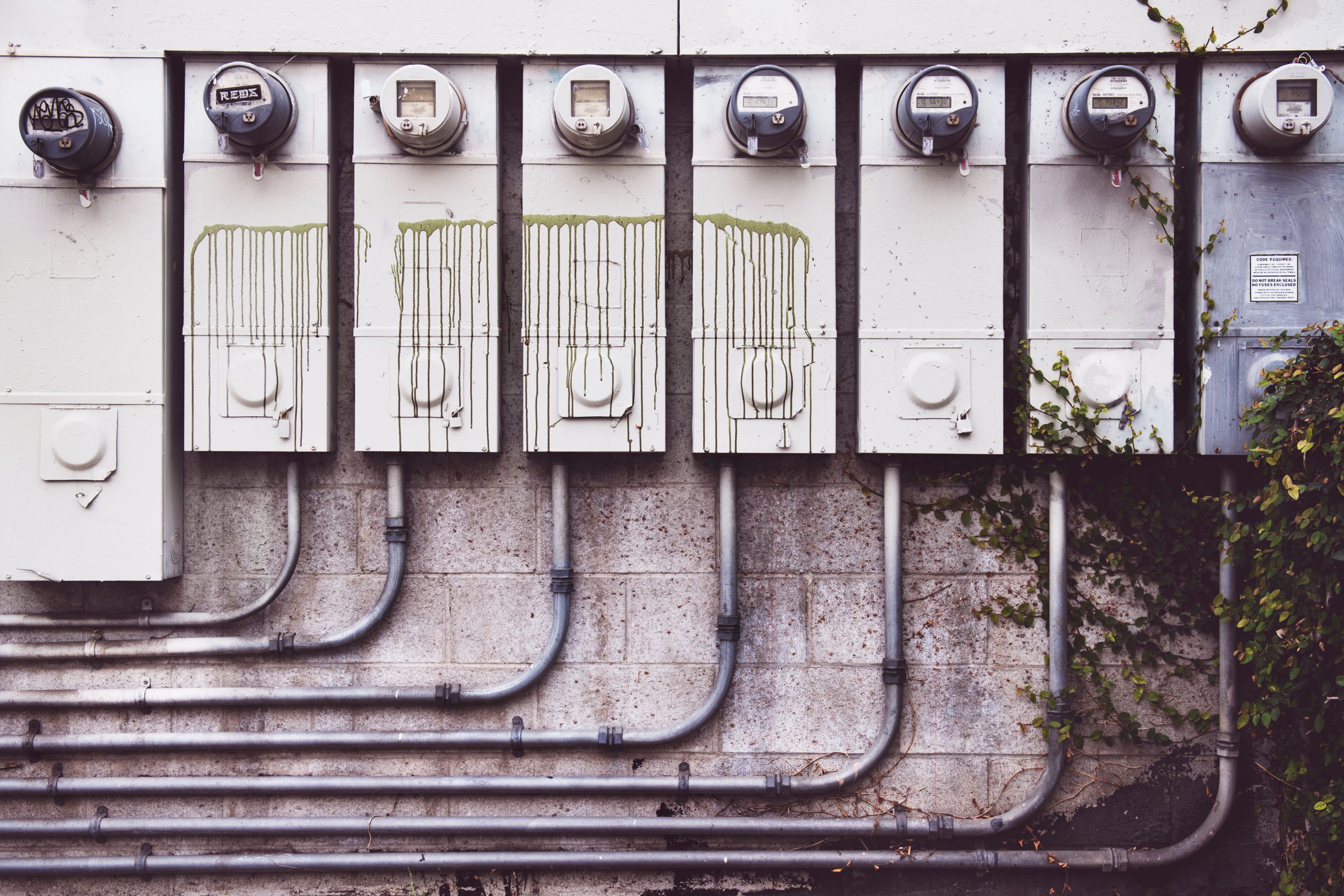 Compteurs électriques extérieurs mur brique lierre